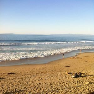 Meet your Posher, Candi